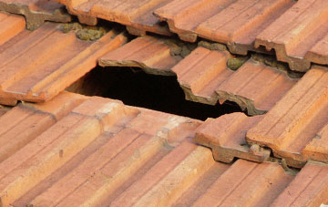 roof repair Tregarland, Cornwall